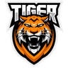 Logo do TIGER
