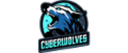 Escudo do Cyberwolves