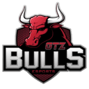 Escudo do GTZ Bulls