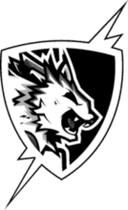 Escudo do Flash Point