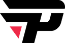 Escudo do paiN Gaming Academy