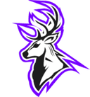 Escudo do Aura Esports