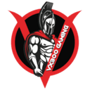 Escudo do VX300 Gaming