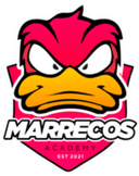 Escudo do Marrecos Academy