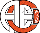 Escudo do ACE eSports