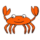 Escudo do Boston crab