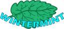 Escudo do Wintermint
