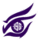 Escudo do Insight Gaming