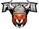 Escudo do VIKINGS Fourteen