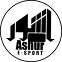 Escudo do Ashur Esports