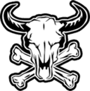 Escudo do DomiNation