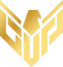 Escudo do Gaming Up FEM