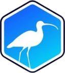 Escudo do Curlews