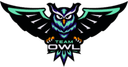 Escudo do Team OWL