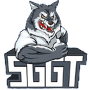 Escudo do SayGGTeam