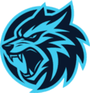 Escudo do Nomads