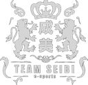 Escudo do Team SEIBI