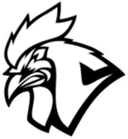 Escudo do Chicken Coop Esports