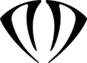 Escudo do DNSTY