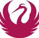 Escudo do Kiri Magenta