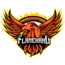 Escudo do Flame Hard