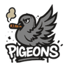 Logo do Pigeons