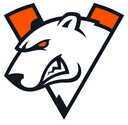 Escudo do Virtus.pro