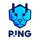 Escudo do PING Cheetahs
