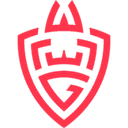 Escudo do WLGaming Esports