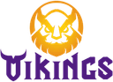 Escudo do Vikings Esports