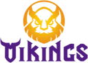 Escudo do MGN Vikings Esports