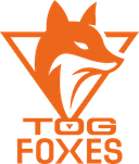 Escudo do TeamOrangeGaming Academy
